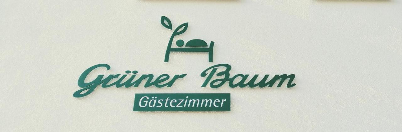 朗吉瑙Gruener Baum住宿加早餐旅馆 外观 照片